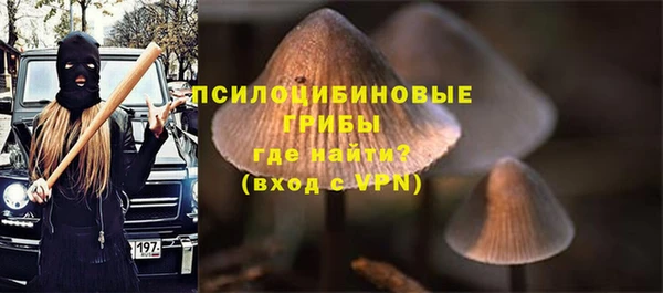 шишки Баксан