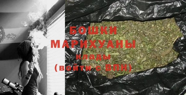 шишки Баксан