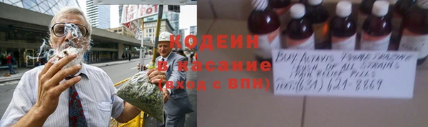 шишки Баксан