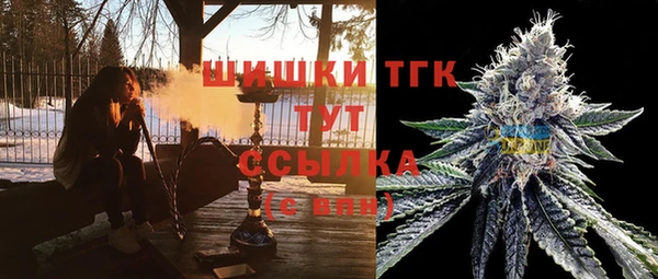 шишки Баксан