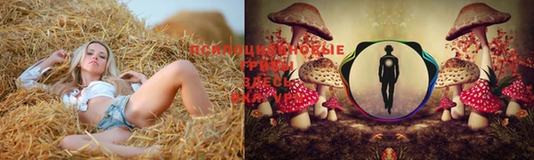 гидра Балабаново