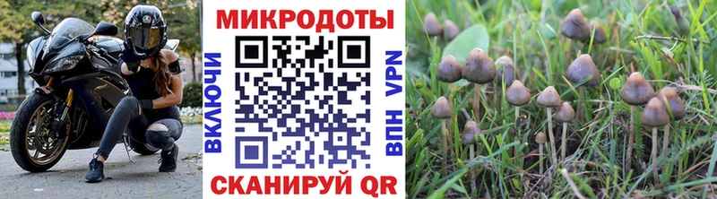 наркотики  Раменское  Галлюциногенные грибы мицелий 